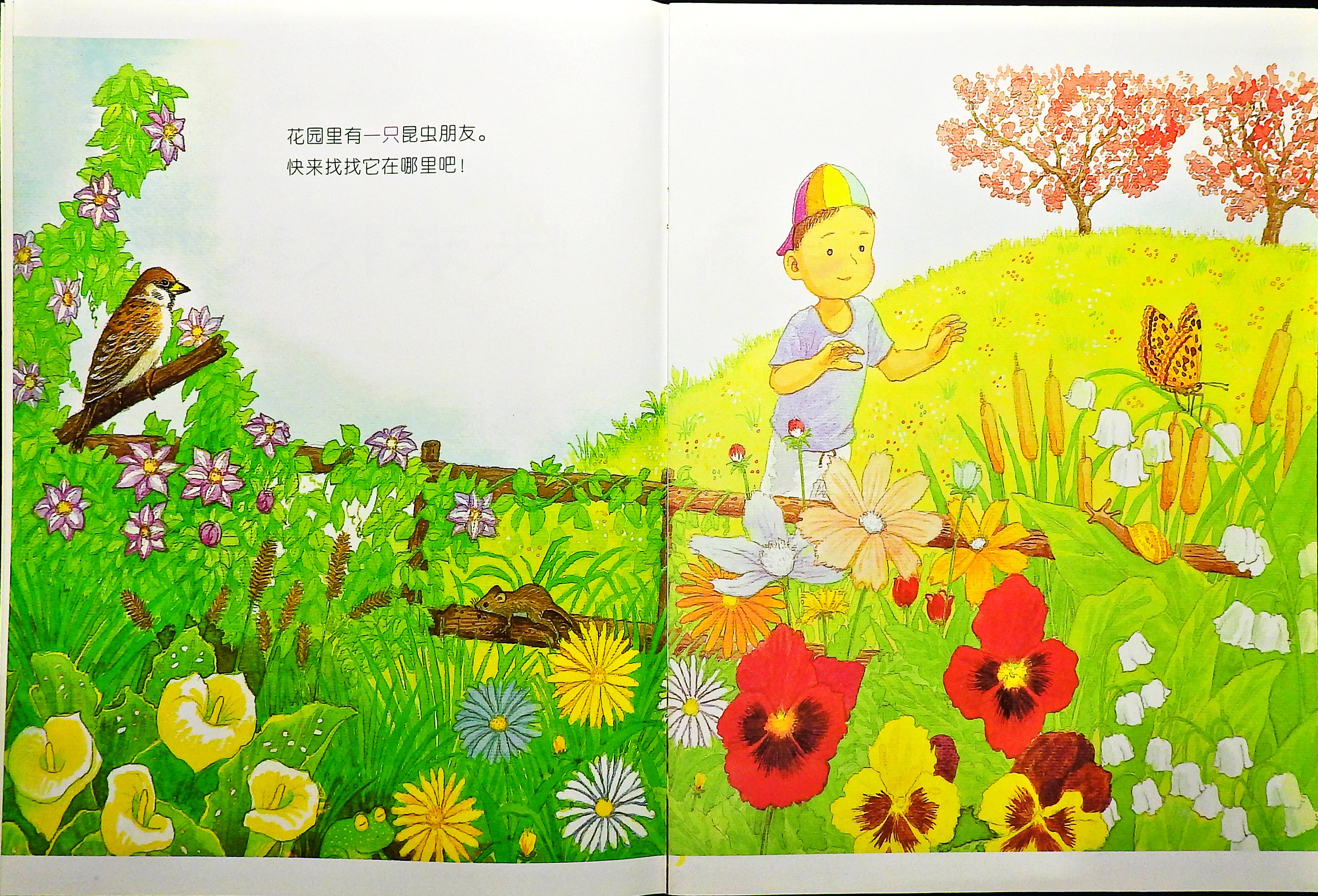 快来找我吧 (03),绘本,绘本故事,绘本阅读,故事书,童书,图画书,课外阅读